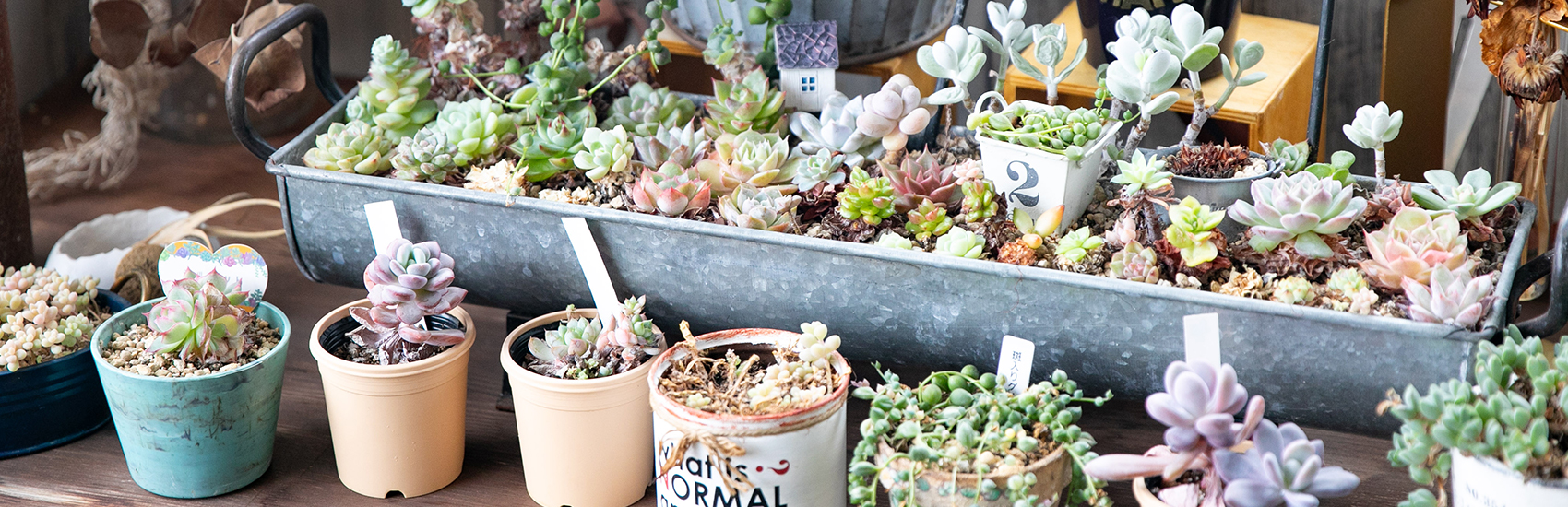 キービジュアル